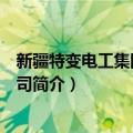 新疆特变电工集团有限公司（关于新疆特变电工集团有限公司简介）