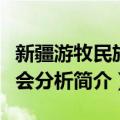 新疆游牧民族社会分析（关于新疆游牧民族社会分析简介）