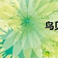 鸟贝是什么（鸟贝是啥）