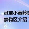 灵宝小秦岭禁猎禁伐区（关于灵宝小秦岭禁猎禁伐区介绍）