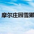 摩尔庄园雪獭怎么钓（钓摩尔庄园雪獭方法）