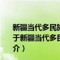 新疆当代多民族文学史：散文报告文学戏剧影视文学卷（关于新疆当代多民族文学史：散文报告文学戏剧影视文学卷简介）