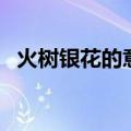 火树银花的意思是什么（什么是火树银花）