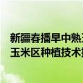 新疆春播早中熟玉米区种植技术挂图（关于新疆春播早中熟玉米区种植技术挂图简介）