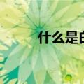 什么是白化病（白化病是什么病）