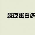 胶原蛋白多的食物（三种食材均可补充）