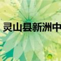 灵山县新洲中学（关于灵山县新洲中学介绍）