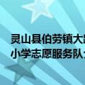 灵山县伯劳镇大路小学志愿服务队（关于灵山县伯劳镇大路小学志愿服务队介绍）