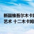 新疆维吾尔木卡姆艺术 十二木卡姆（关于新疆维吾尔木卡姆艺术 十二木卡姆简介）