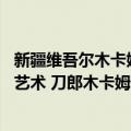 新疆维吾尔木卡姆艺术 刀郎木卡姆（关于新疆维吾尔木卡姆艺术 刀郎木卡姆简介）