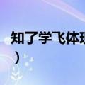 知了学飞体现了什么道理（知了学飞故事全文）