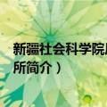 新疆社会科学院历史研究所（关于新疆社会科学院历史研究所简介）