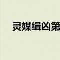 灵媒缉凶第一季（灵媒缉凶第一季简介）