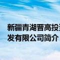 新疆青湖晋高投资开发有限公司（关于新疆青湖晋高投资开发有限公司简介）