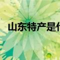 山东特产是什么（他们各自的特色是什么）