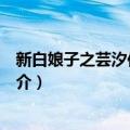新白娘子之芸汐传奇外传（关于新白娘子之芸汐传奇外传简介）