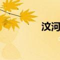 汶河县在哪里（汶河介绍）
