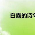 白露的诗句大全（白露的诗句有哪些）