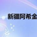 新疆阿希金矿（关于新疆阿希金矿简介）