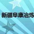 新疆阜康冶炼厂（关于新疆阜康冶炼厂简介）