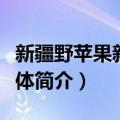 新疆野苹果新疆群体（关于新疆野苹果新疆群体简介）
