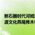 新石器时代河姆渡文化燕尾榫木构件（关于新石器时代河姆渡文化燕尾榫木构件简介）