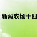 新盈农场十四队（关于新盈农场十四队简介）