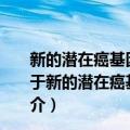 新的潜在癌基因NOVA1在肝癌中的表达及其功能研究（关于新的潜在癌基因NOVA1在肝癌中的表达及其功能研究简介）