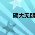 硕大无朋什么意思（硕大无朋解释）
