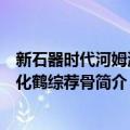 新石器时代河姆渡文化鹤综荐骨（关于新石器时代河姆渡文化鹤综荐骨简介）