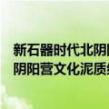 新石器时代北阴阳营文化泥质红衣陶钵（关于新石器时代北阴阳营文化泥质红衣陶钵简介）
