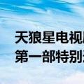 天狼星电视剧剧情（韩国KBS电视台2013年第一部特别连续剧）