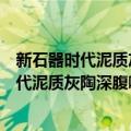 新石器时代泥质灰陶深腹喇叭形矮圈足陶碗（关于新石器时代泥质灰陶深腹喇叭形矮圈足陶碗简介）
