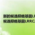 新的候选抑癌基因LRRC2在甲状腺癌中的功能及其机制研究（关于新的候选抑癌基因LRRC2在甲状腺癌中的功能及其机制研究简介）