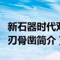新石器时代双面刃骨凿（关于新石器时代双面刃骨凿简介）