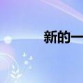 新的一年（关于新的一年简介）