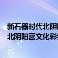 新石器时代北阴阳营文化彩绘泥质红陶钵（关于新石器时代北阴阳营文化彩绘泥质红陶钵简介）