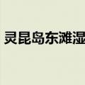 灵昆岛东滩湿地（关于灵昆岛东滩湿地介绍）
