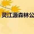 灵江源森林公园（关于灵江源森林公园介绍）