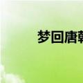 梦回唐朝电视剧（梦回唐朝简介）