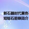 新石器时代黑色石质短铤石箭镞（关于新石器时代黑色石质短铤石箭镞简介）