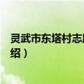 灵武市东塔村志愿服务队（关于灵武市东塔村志愿服务队介绍）