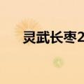 灵武长枣2号（关于灵武长枣2号介绍）