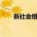 新社会组织（关于新社会组织简介）
