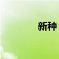 新种 料（关于新种 料简介）