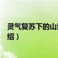 灵气复苏下的山地大猩猩（关于灵气复苏下的山地大猩猩介绍）