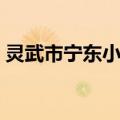 灵武市宁东小学（关于灵武市宁东小学介绍）