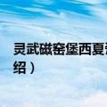 灵武磁窑堡西夏瓷窑遗址（关于灵武磁窑堡西夏瓷窑遗址介绍）