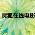 灵狐在线电影网（关于灵狐在线电影网介绍）