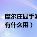 摩尔庄园手游中怎么收获果实（摩尔庄园浆果有什么用）